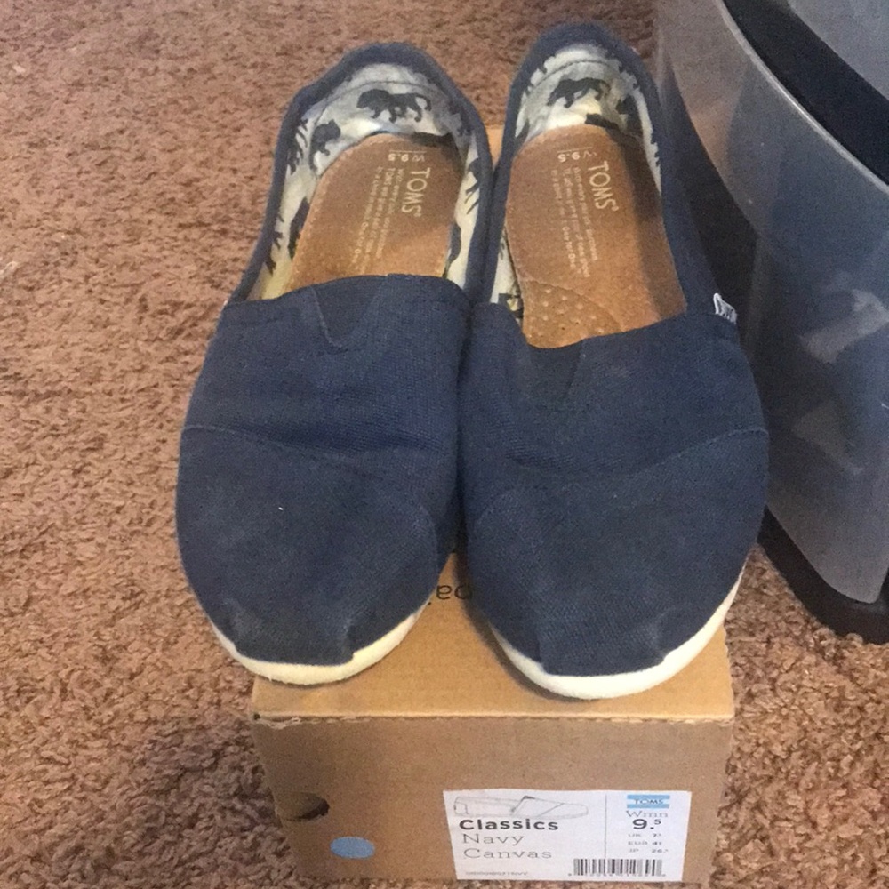 Toms Navy Canvas